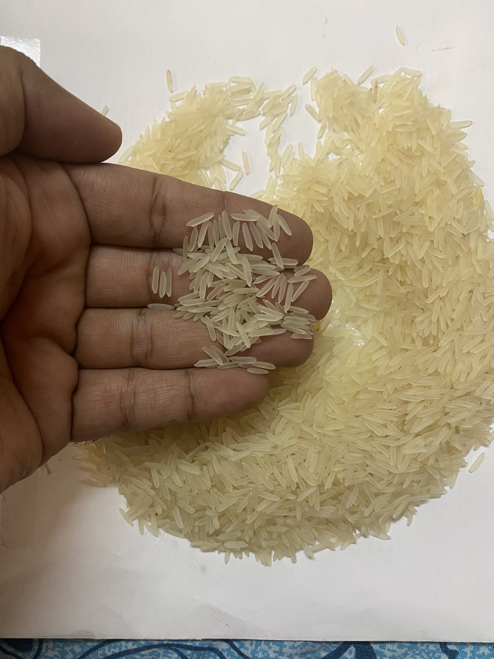basmati_rice3