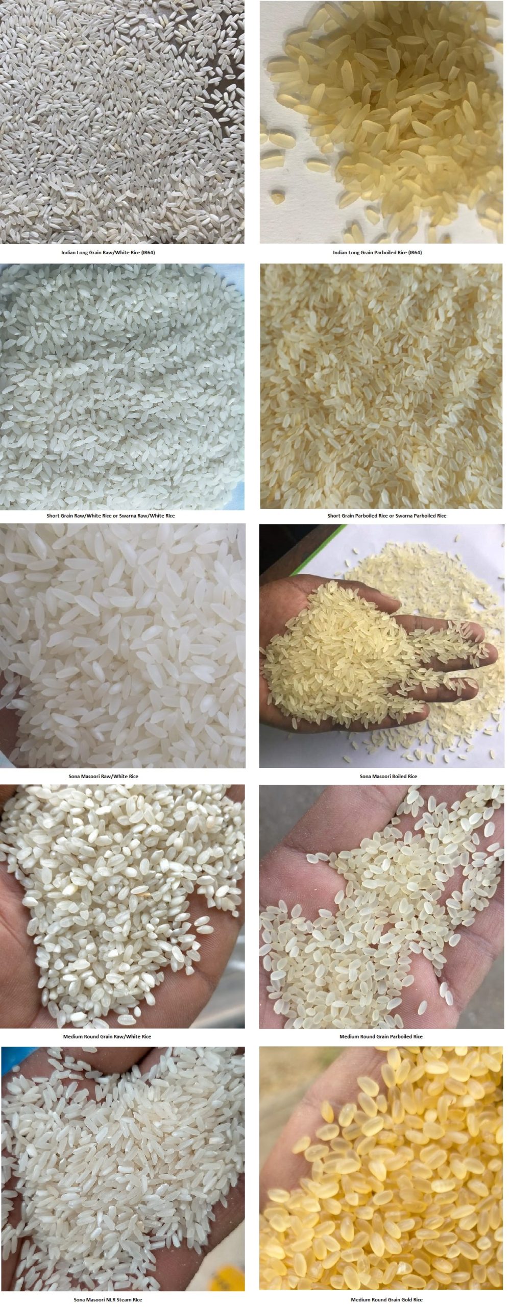 non_basmati_rice11
