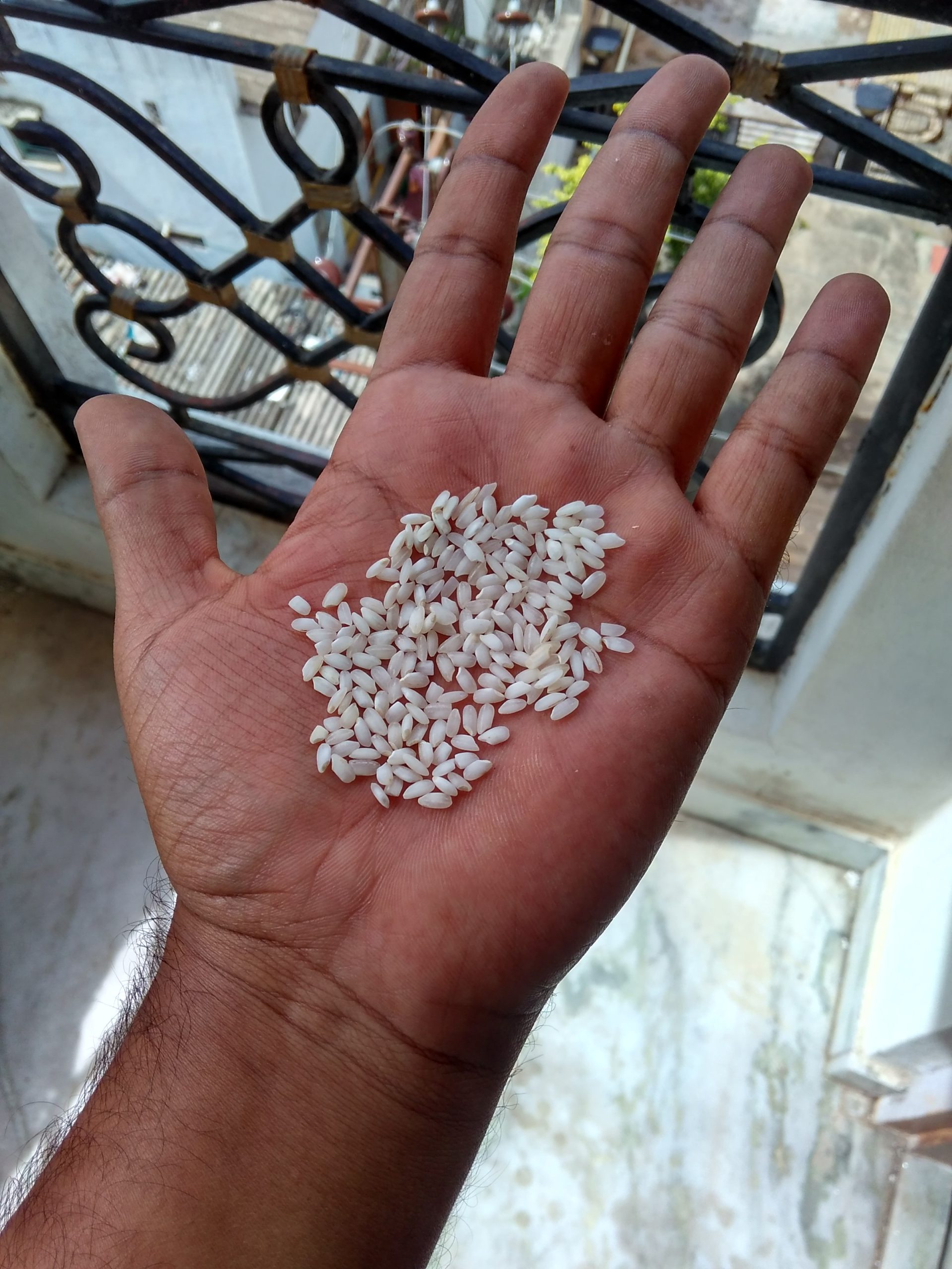 non_basmati_rice3